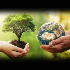 Environmental Conservation Professor